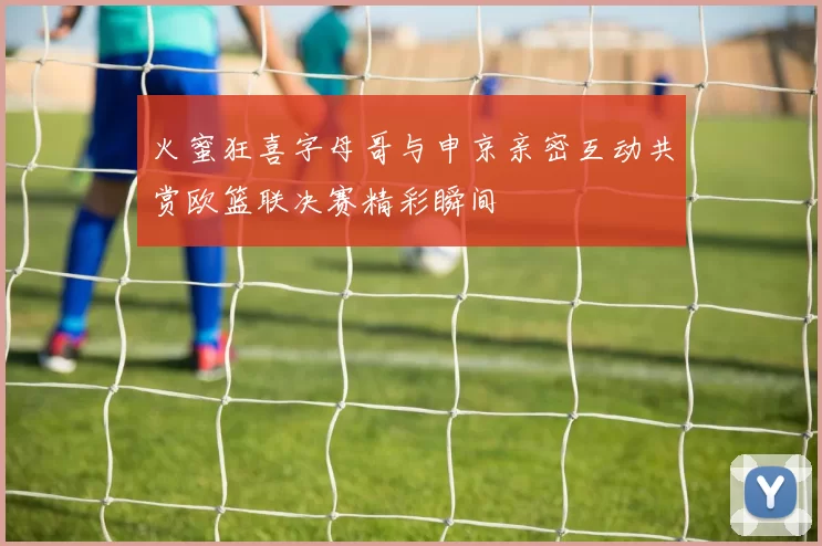 火蜜狂喜字母哥与申京亲密互动共赏欧篮联决赛精彩瞬间